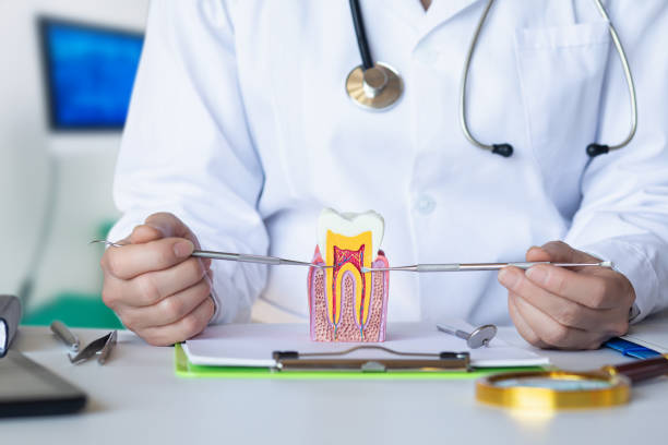 Best Urgent Dental Care for Toothaches in Lebanon South, PA